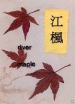 river maples