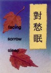facing sorrow, I sleep